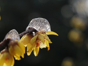 《漂亮的家教10》