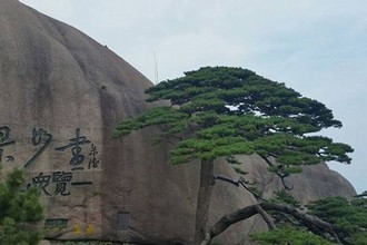 火车上日漂亮的妈妈小说阅读答案